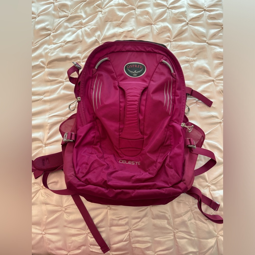 Osprey Backpack